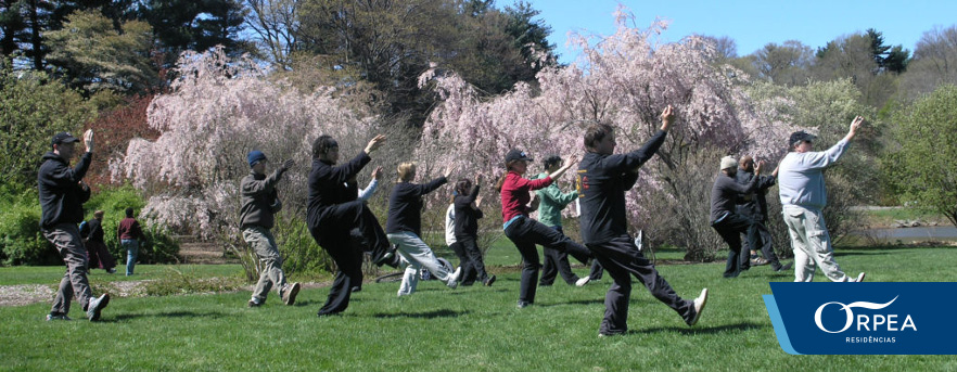 tai chi emeis