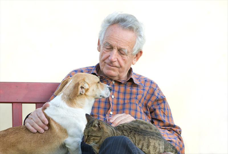 Terapia com animais